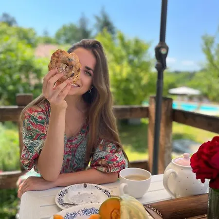 Vakantiehuis La Colline De Tilleul - Les Deux Puits - Cosy With Swimming Pool Near Aubeterre