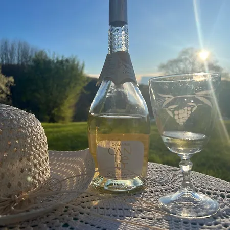 La Colline De Tilleul - Les Deux Puits - Cosy With Swimming Pool Near Aubeterre