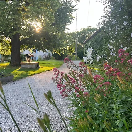 La Colline De Tilleul - Les Deux Puits - Cosy With Swimming Pool Near Aubeterre *