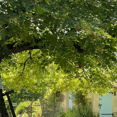 La Colline De Tilleul - Les Deux Puits - Cosy With Swimming Pool Near Aubeterre