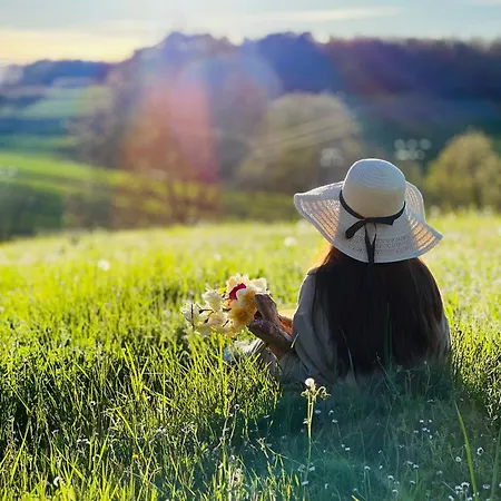 Vakantiehuis La Colline De Tilleul - Les Deux Puits - Cosy With Swimming Pool Near Aubeterre Saint-Romain (Charente)
