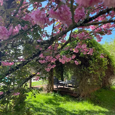 La Colline De Tilleul - Les Deux Puits - Cosy With Swimming Pool Near Aubeterre 度假居