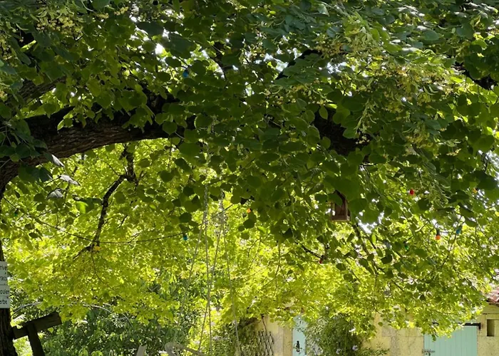 La Colline De Tilleul - Les Deux Puits - Cosy With Swimming Pool Near Aubeterre
