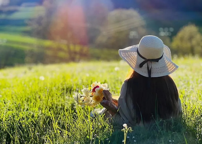 Casa de Férias La Colline De Tilleul - Les Deux Puits - Cosy With Swimming Pool Near Aubeterre Saint-Romain (Charente)